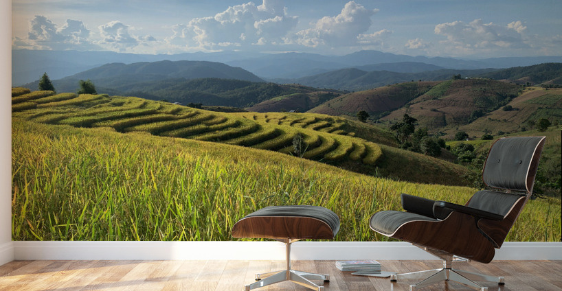 Beautiful Rice Field Wall Murals