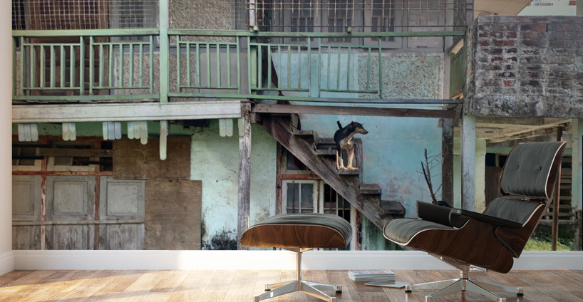 Dogs looking Left Wall Murals