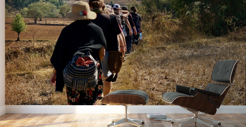 Follow the Path Wall Murals