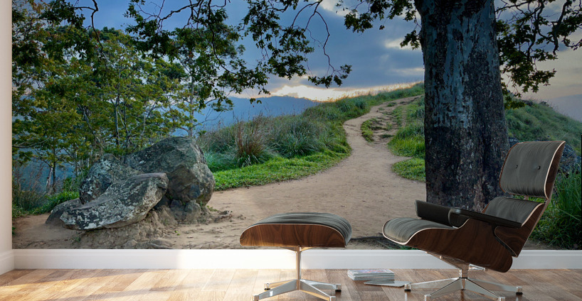 Mountain Path Wall Murals