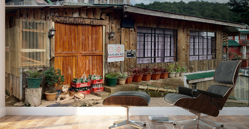 Beautiful Wooden House Wall Murals