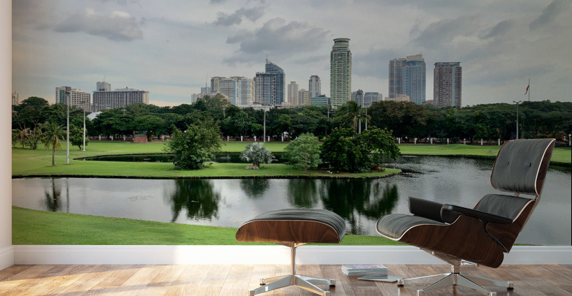 City Park  Lake Manila Wall Murals