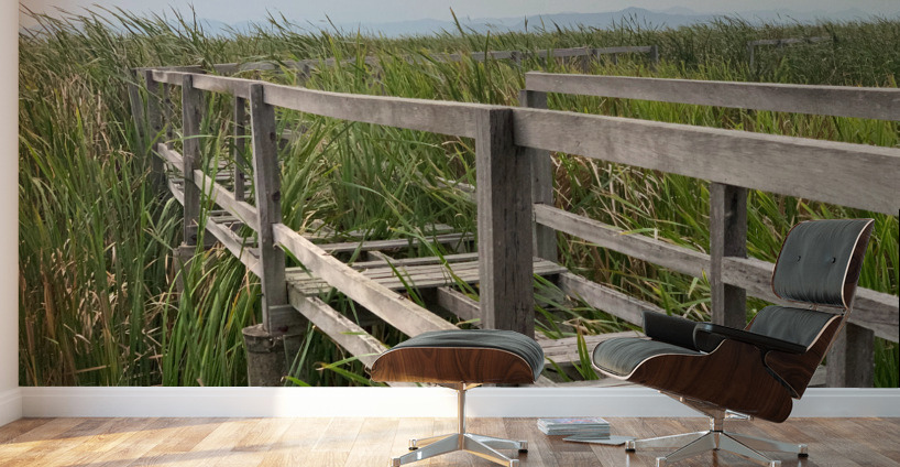 At Your Own Risks Wall Murals