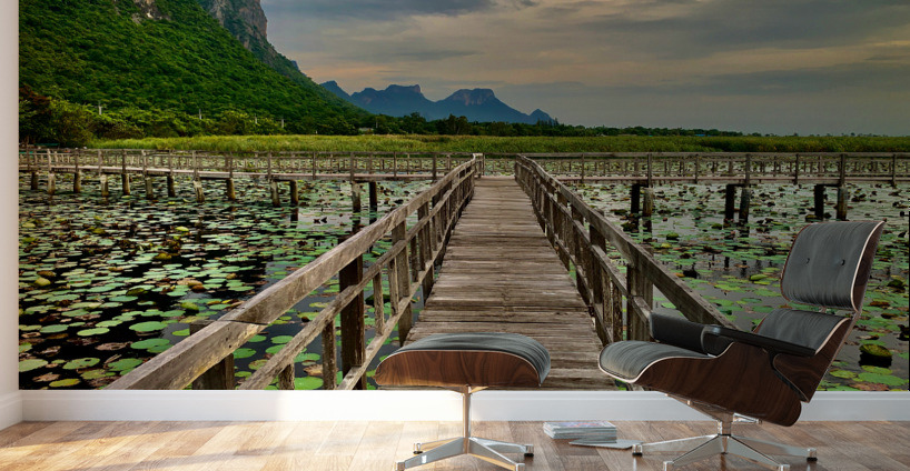 Wooden Walkway Wall Murals