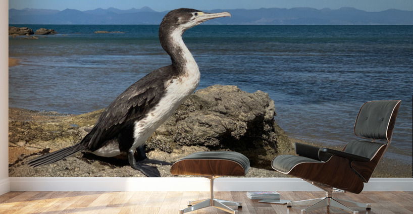 Bird Looking Straight Ahead Wall Murals