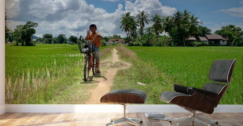 Cycling Back Home Wall Murals