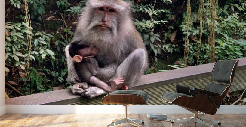 Mama Monkey Wall Murals