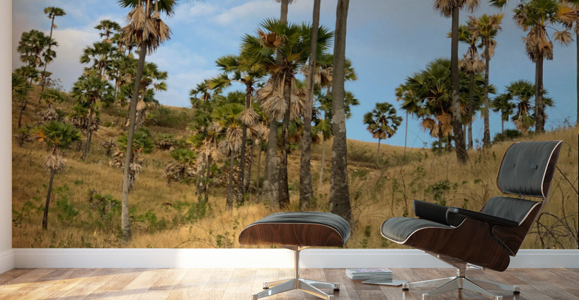 Palm Trees on the Hills Wall Murals