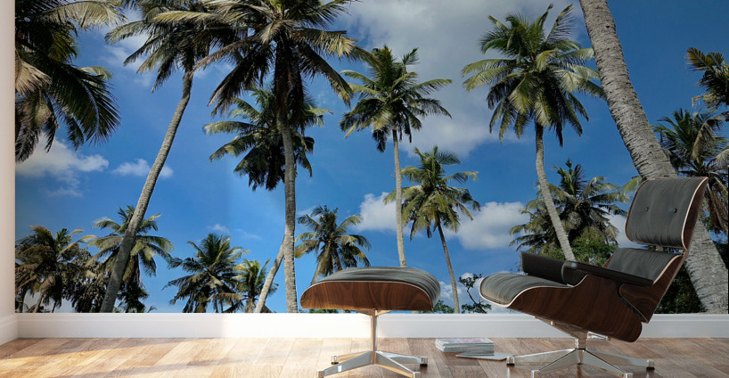Palm Trees behind the Wall Wall Murals