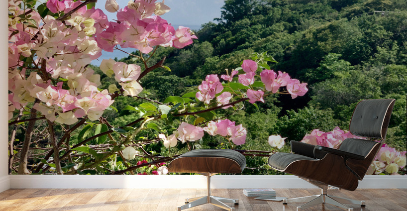 Pretty Pink Flowers Wall Murals