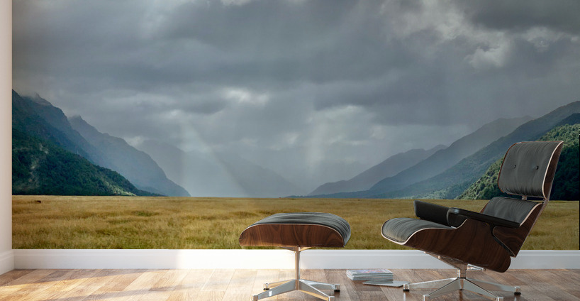 Ray of Lights in the Valley Wall Murals