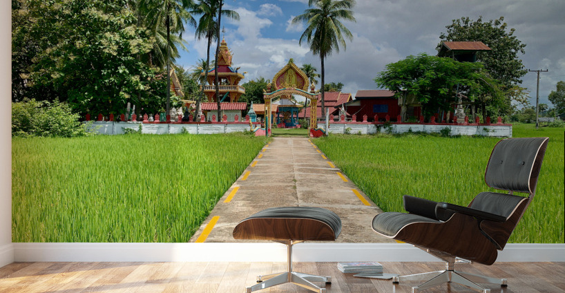 Don Khon Island Temple Laos Wall Murals