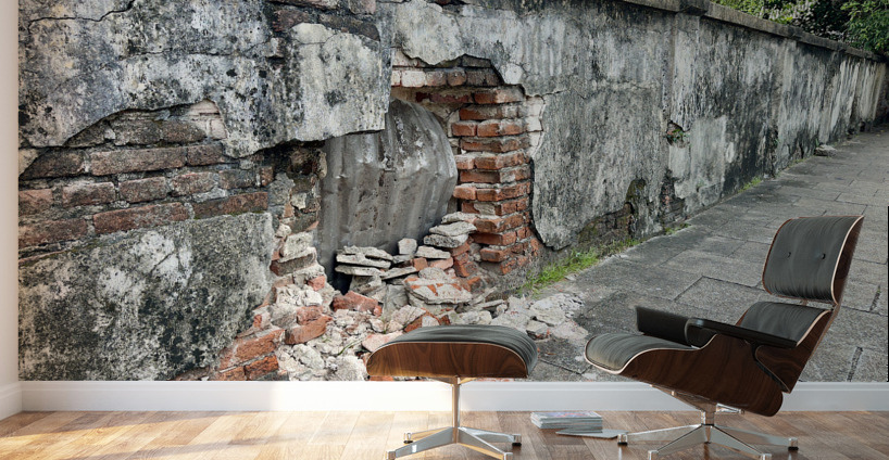 Another Brick in the Wall Wall Murals