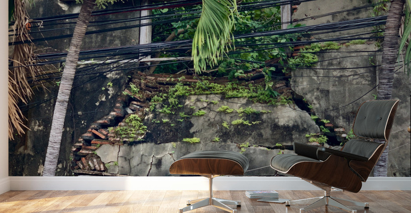 Cracking Down Building Wall Murals