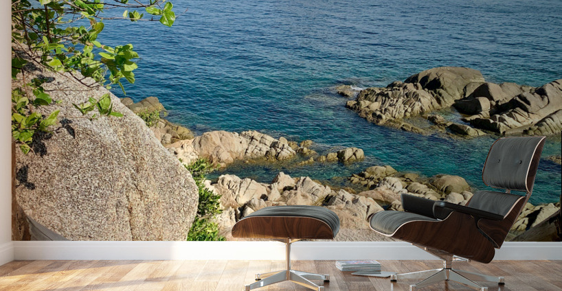 Sharks Island down the Stairs Koh Tao Thailand Wall Murals