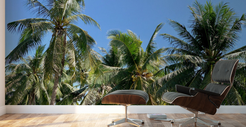 Palm Trees 2 Wall Murals