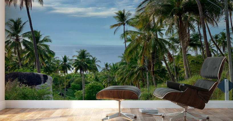 Palm Tree Road Wall Murals