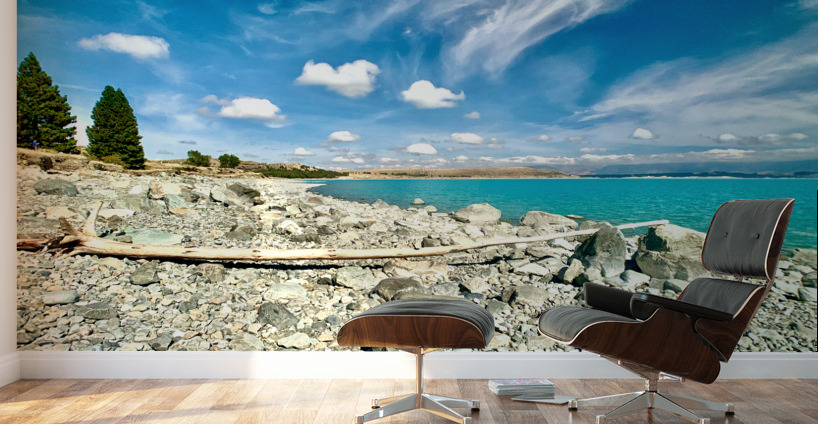 Dead Wood in Front of the Lake Wall Murals