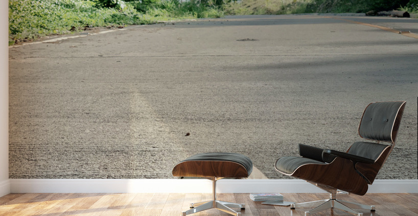 Coconut Shadow Wall Murals