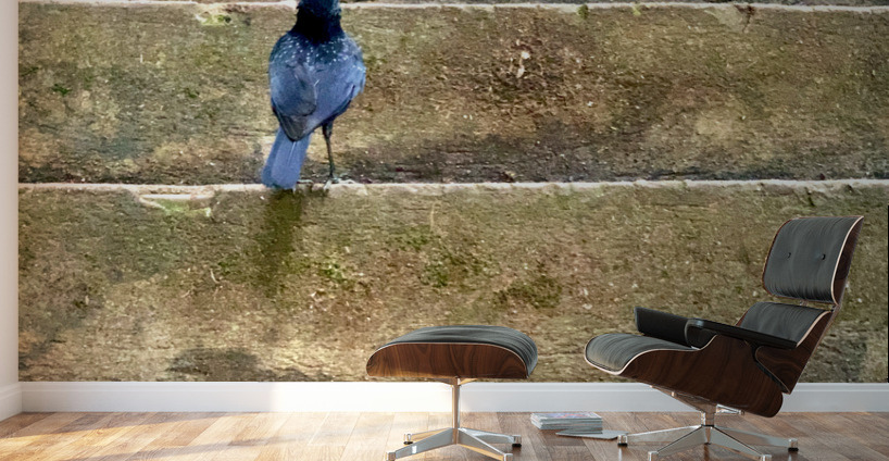 Bird Climbing the Stairs Wall Murals