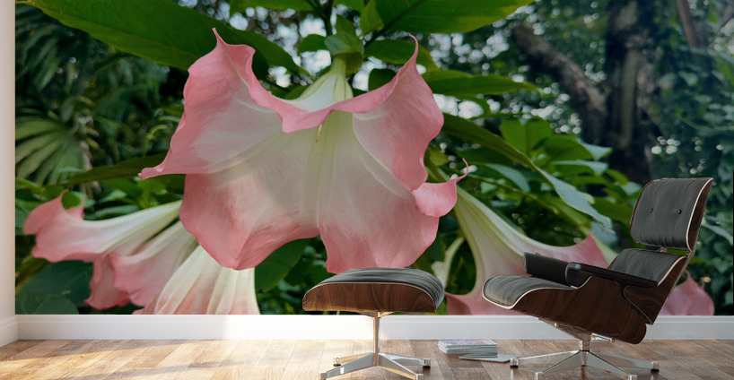 Pink Bell Flowers Wall Murals