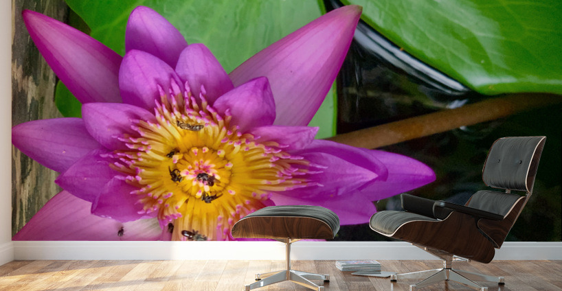 Purple Flower Wall Murals