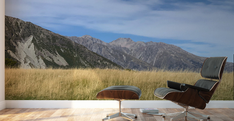 Nice Field Wall Murals