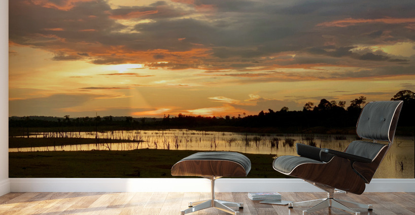 Serenity Over the Lake Wall Murals