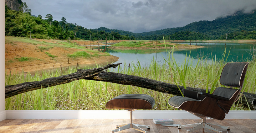 Khao Sok National Park 1 Wall Murals