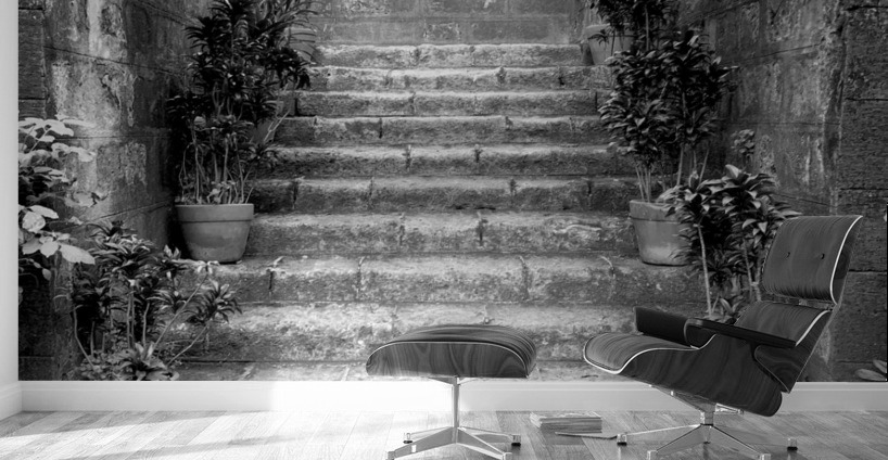 BW Stairs  Plants Wall Murals