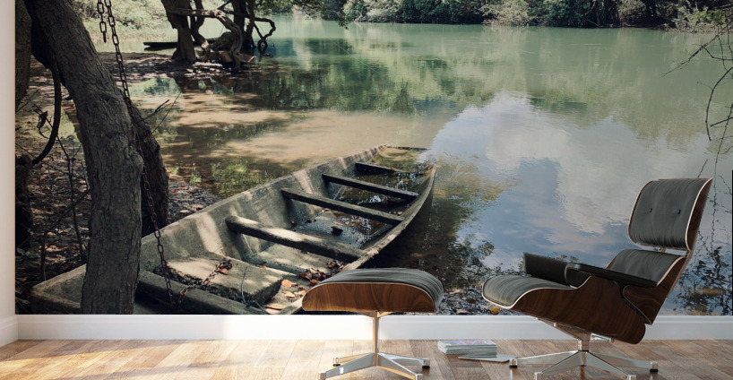 Abandoned Boat Wall Murals