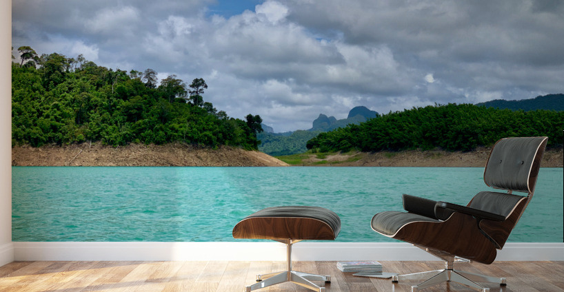 Land & Water Wall Murals