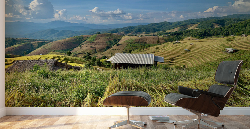 Colorful Rice Fields Wall Murals