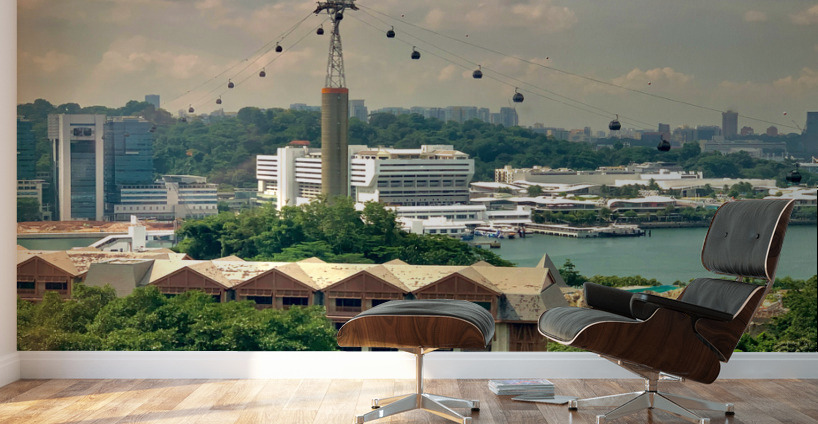 Singapore Cable Car Wall Murals