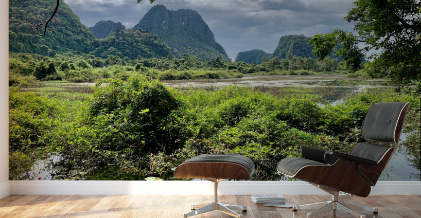 Wetland and Mountains Wall Murals