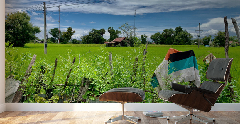 Village House Wall Murals