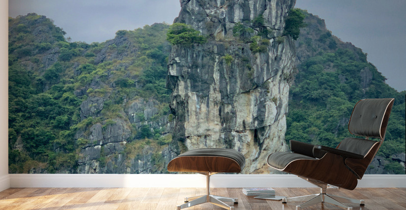 Strait Rock on the Water Wall Murals