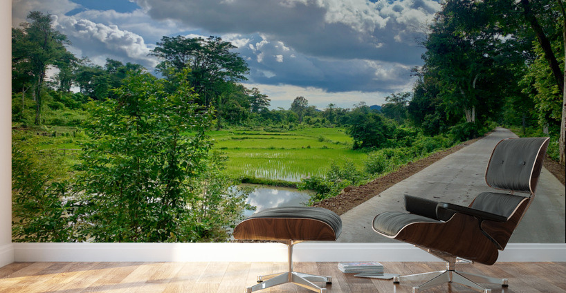 Riding by the Rice Fields Wall Murals