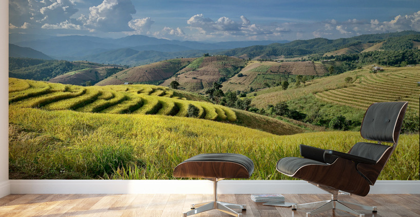 Amazing Rice Fields Wall Murals