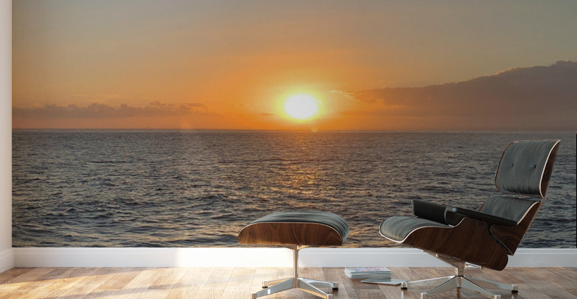 Sunset and Puddles Wall Murals