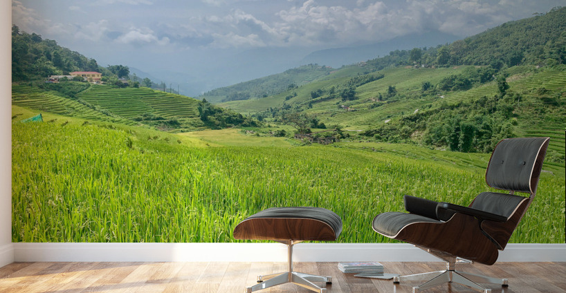 Rice Fields in Sapa 2 Wall Murals