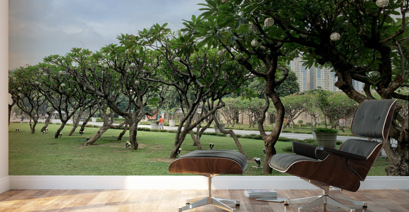 Tree in Line Wall Murals