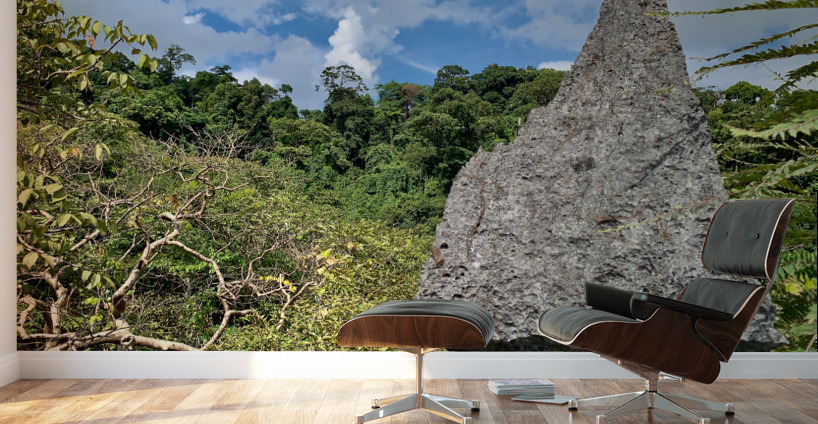 The Rock Viewpoint Laos Wall Murals