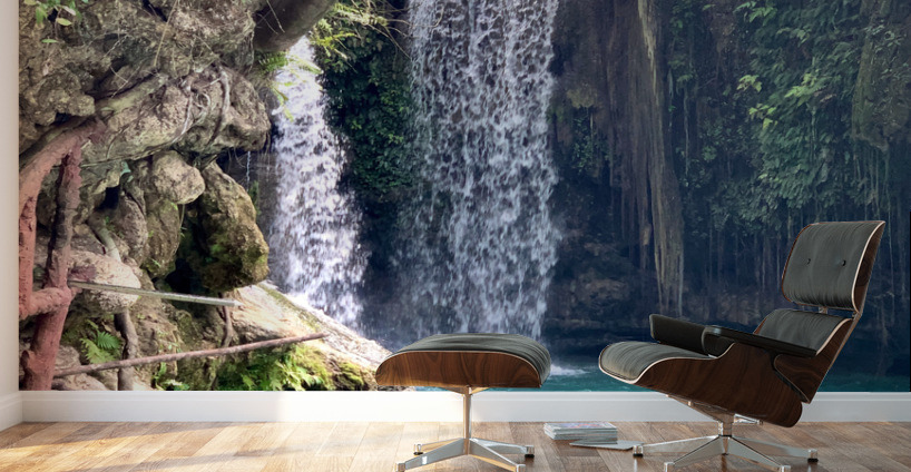 Kawasan Falls Philippines 2 Wall Murals