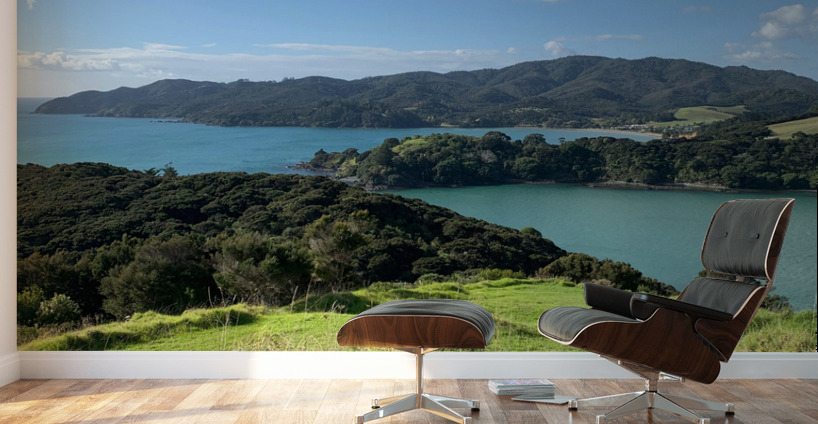 Viewpoint in Rangikapiti Pa Historic Reserve New Wall Murals