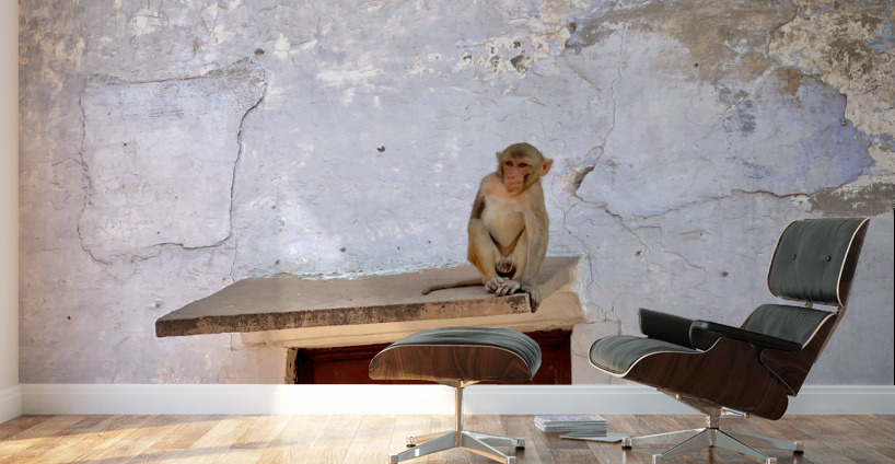 Break Time Wall Murals