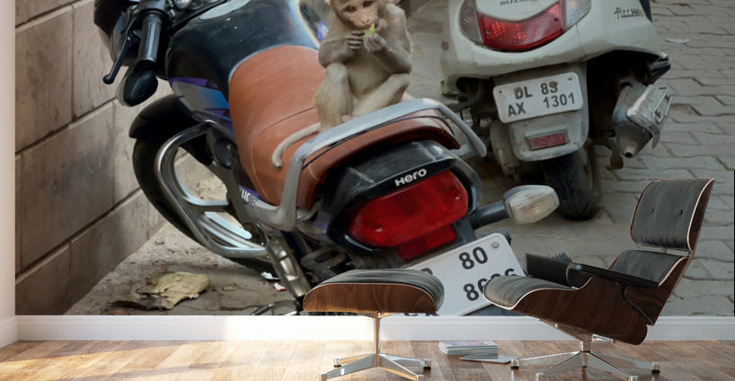 Monkey Bikers Wall Murals