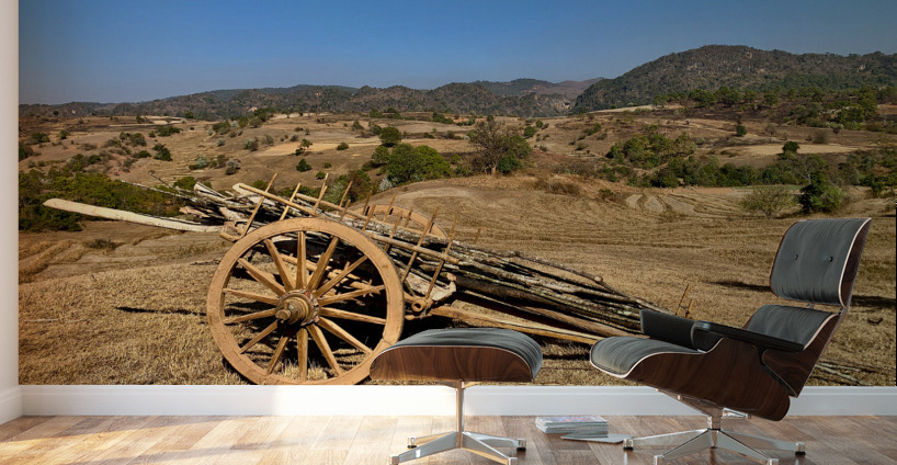 Old Farm Wagon Wall Murals