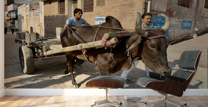 Special Delivery Wall Murals