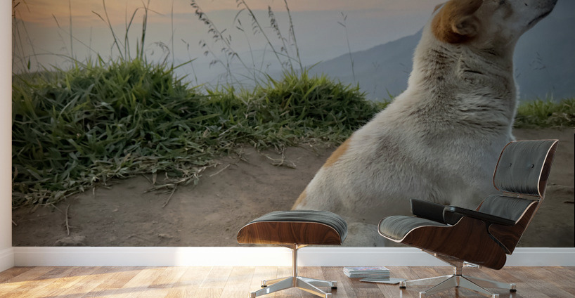 Ella Mountain Dog Wall Murals